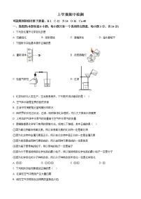 精品解析：湖北省武汉市初中化学新视角2022-2023学年九年级上学期期中化学试题（原卷版）