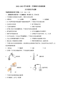 精品解析：湖北省武汉市江汉区2022-2023学年九年级上学期期中化学试题（原卷版）