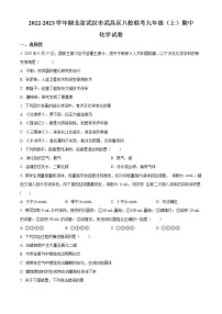 精品解析：湖北省武汉市武昌区八校2022-2023学年九年级上学期期中联考化学试题（原卷版）