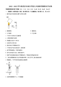 精品解析：湖北省武汉市硚口区2022-2023学年九年级元月调考模拟化学试题（原卷版）