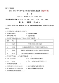 化学-2022-2023学年九年级下学期开学摸底考试卷（武汉专用）（考试版）