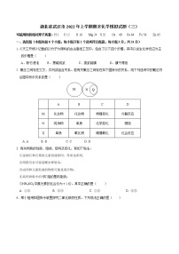 湖北省武汉市2022年上学期期末化学模拟试题（三）（学生卷）