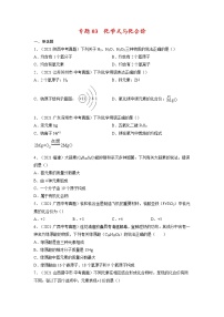 专题03  化学式与化合价【考点巩固】—【中考高分导航】备战2023年中考化学考点总复习（全国通用）