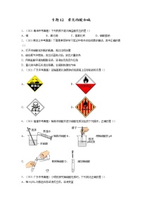 专题12  常见的酸和碱【考点巩固】—【中考高分导航】备战2023年中考化学考点总复习（全国通用）