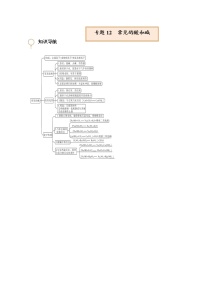 专题12  常见的酸和碱【考点精讲】—【中考高分导航】备战2023年中考化学考点总复习（全国通用）