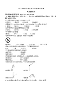 广东省江门市开平市2022-2023学年九年级上学期期末化学试题（含答案）