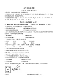 山东省青岛市平度市2022-2023学年九年级上学期期末化学试题（含答案）