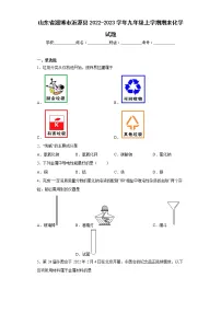 山东省淄博市沂源县2022-2023学年九年级上学期期末化学试题（含答案）