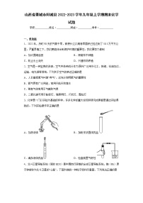 山西省晋城市阳城县2022-2023学年九年级上学期期末化学试题(含答案)