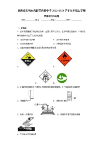 陕西省宝鸡市高新区高新中学2022-2023学年九年级上学期期末化学试题（含答案）