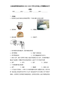 云南省楚雄州南华县2022-2023学年九年级上学期期末化学试题（含答案）