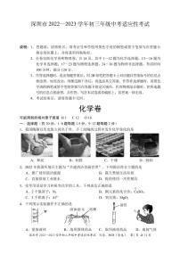 2023年广东省深圳市中考一模化学试题