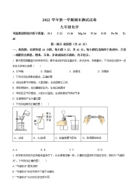 广东省广州市天河区暨南大学附属实验学校2022-2023学年九年级上学期期末化学试题