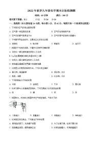 海南省临高县2022-2023学年九年级上学期期末化学试题（含答案）