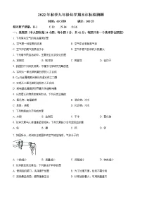 海南省临高县2022-2023学年九年级上学期期末化学试题（含答案）