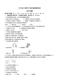 河南省安阳市汤阴县2022-2023学年九年级上学期期末化学试题（含答案）