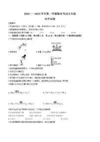 河南省洛阳市嵩县2022-2023学年九年级上学期期末化学试题（含答案）