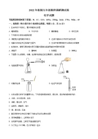 河南省南阳市卧龙区2022-2023学年九年级上学期期末化学试题（含答案）