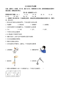 山东省临沂市费县2022-2023学年九年级上学期期末化学试题（含答案）