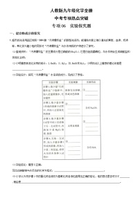 06  实验探究题（含解析）——【中考二轮重难点复习】2023年化学人教版专项热点强化训练