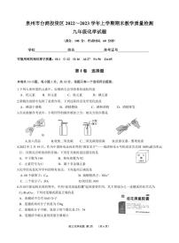 2022-2023学年泉州市台商区九年级上学期期末教学质量检测（化学试卷）