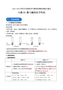 专题05酸与碱的化学性质-2022-2023学年九年级化学下册教材实验大盘点（人教版）