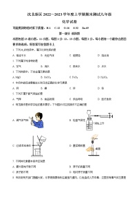 辽宁省沈阳市沈北新区2022-2023学年九年级上学期期末化学试题（含答案）