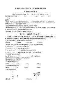 云南省昆明市盘龙区2022-2023学年九年级上学期期末化学试题（含答案）