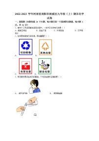 河南省南阳市宛城区2022-2023学年九年级上学期期末化学试题