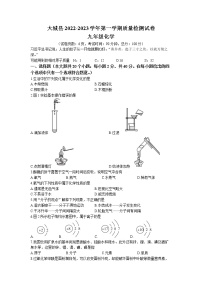 河北省廊坊市大城县2022-2023学年九年级上学期期末化学试题