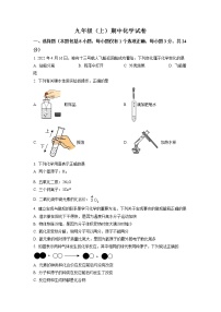 广西壮族自治区梧州市苍梧县2021-2022学年九年级上学期期中化学试题