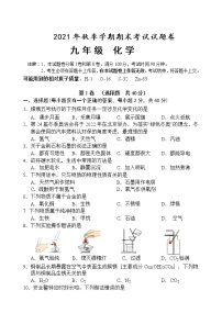 广西河池市宜州区2021-2022学年九年级上学期期末考试化学试题