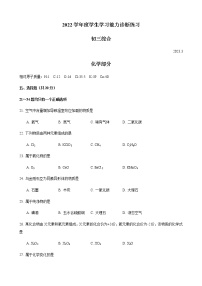 2023年上海市虹口区中考一模化学试题(含答案)
