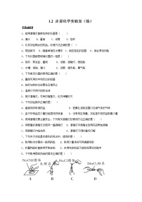 沪教版 (上海)九年级第一学期第一单元 化学的魅力1.2 走进化学实验室课堂检测