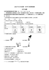 江西省吉安市青原区思源实验学校2022-2023学年九年级下学期第一次月考化学试题（含答案）