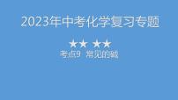 2023年中考化学复习专题----常见的碱课件PPT