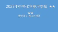 2023年中考化学复习专题----盐和化肥课件PPT