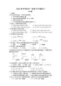 2023年中考人教版化学一轮复习专项练习--盐 化肥