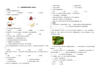 初中人教版第十二单元  化学与生活课题1 人类重要的营养物质精品当堂检测题