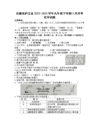 安徽省庐江县2022-2023学年九年级下学期3月月考化学试题