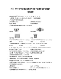 2022-2023学年甘肃省定西市九年级下册期中化学专项提升模拟试卷（含解析）