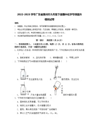 2022-2023学年广东省惠州市九年级下册期中化学专项提升模拟试卷（含解析）