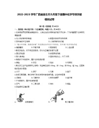 2022-2023学年广西省崇左市九年级下册期中化学专项突破模拟试卷（含解析）