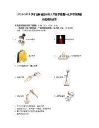 2022-2023学年吉林省吉林市九年级下册期中化学专项突破仿真模拟试卷（含解析）