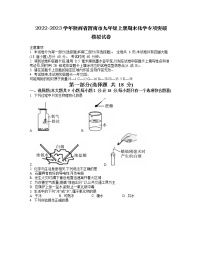 2022-2023学年陕西省渭南市九年级上册期末化学专项突破模拟试卷（含解析）