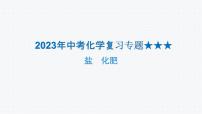 2023年中考化学复习专题---盐  化肥课件PPT