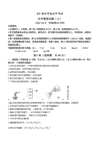 2023年山东省东营市初中学业水平模拟考试化学试题（七）（含答案）