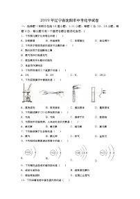 2019年辽宁省沈阳市中考化学试卷