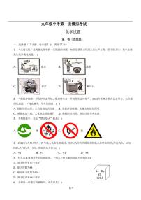 （含解析）人教版中考化学精品模拟试卷①