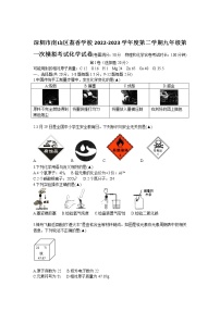 2023年广东省深圳市南山区荔香学校第一次模拟考试化学试卷（含答案）